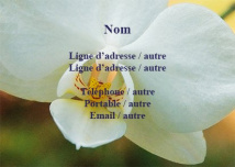 Format commerce 8,5 x 5,5 cm Orchidée
